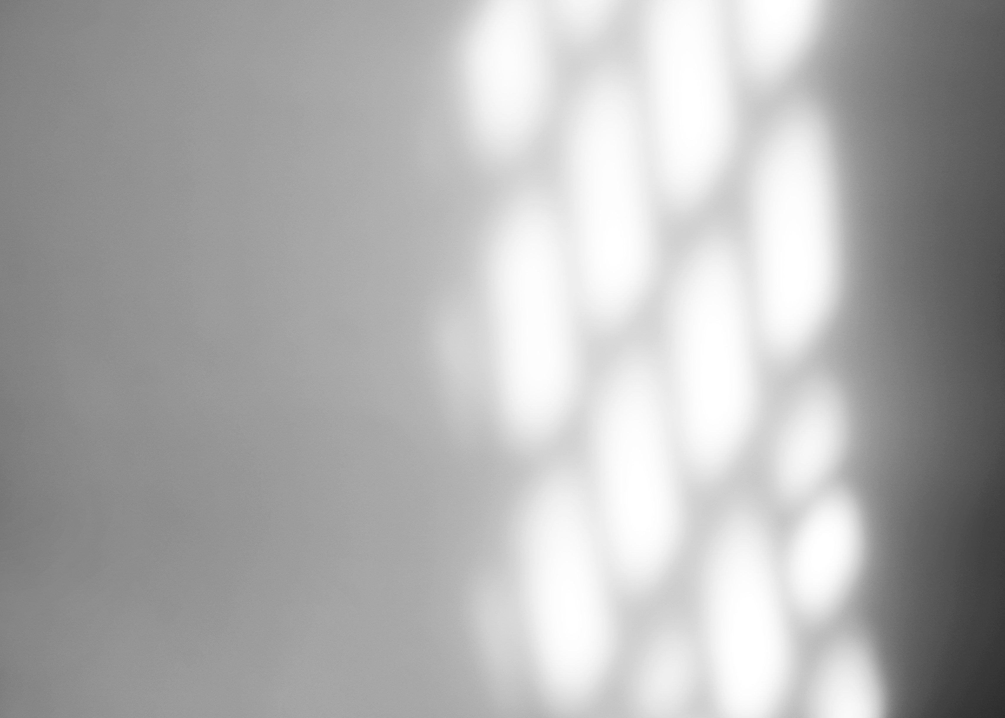 Window Natural Shadow Overlay Effect on White Texture